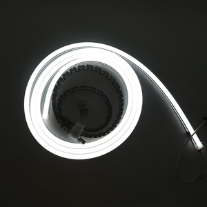ไฟนีออน RGB LED Flex ปรับแต่งสีสำหรับเอฟเฟกต์แสงแบบไดนามิก - Product Image 1