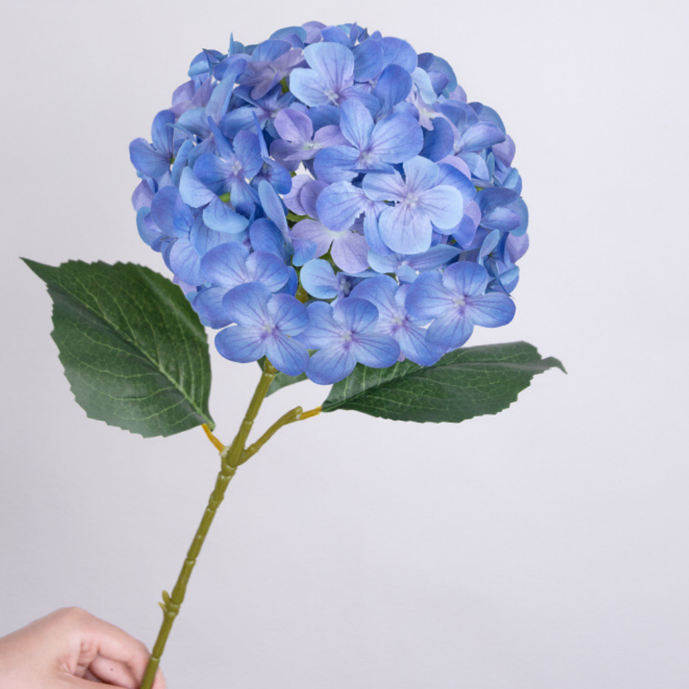 Bleu foncé