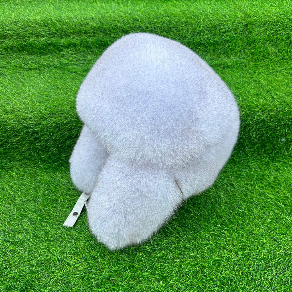 renard bleu