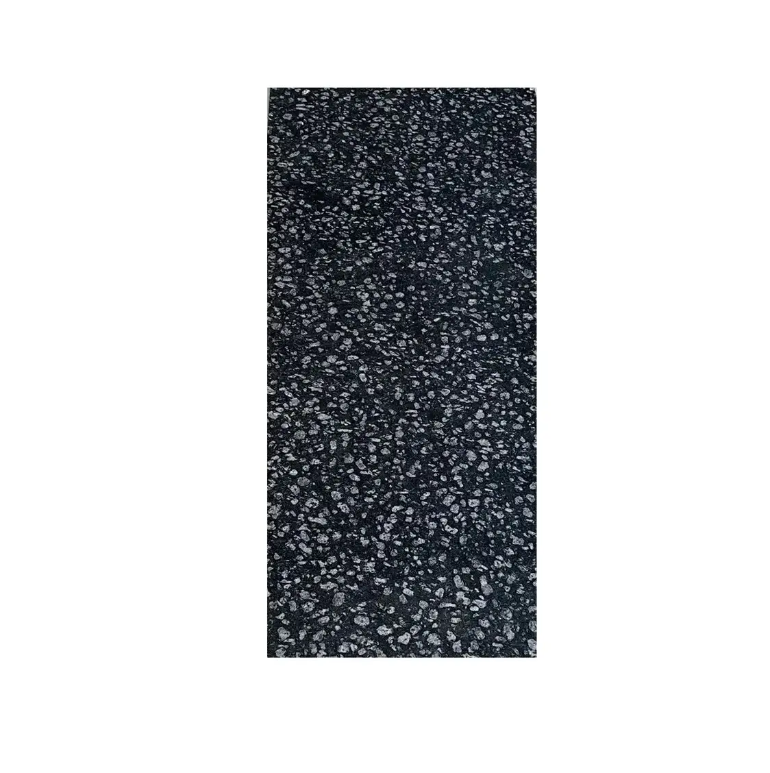 Losa de piedra natural de granito negro de moneda de alta demanda para aplicaciones de oficina, hoteles y restaurantes a la venta