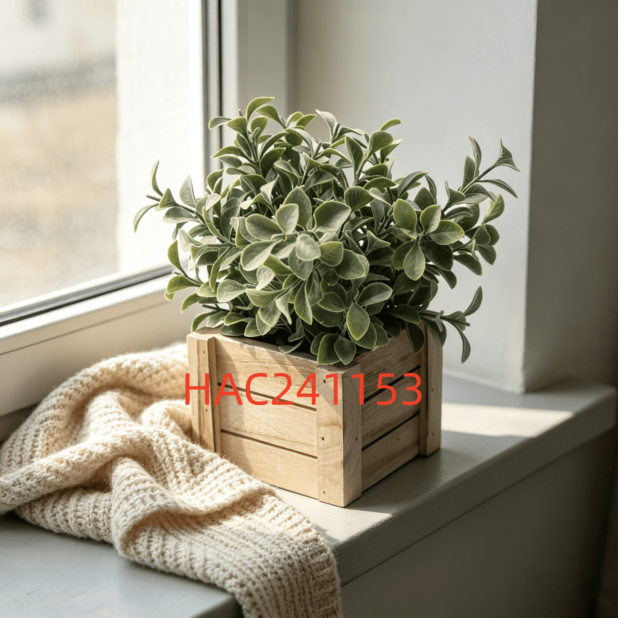 HAC241153