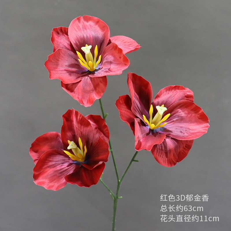 Une tulipe 3D rouge