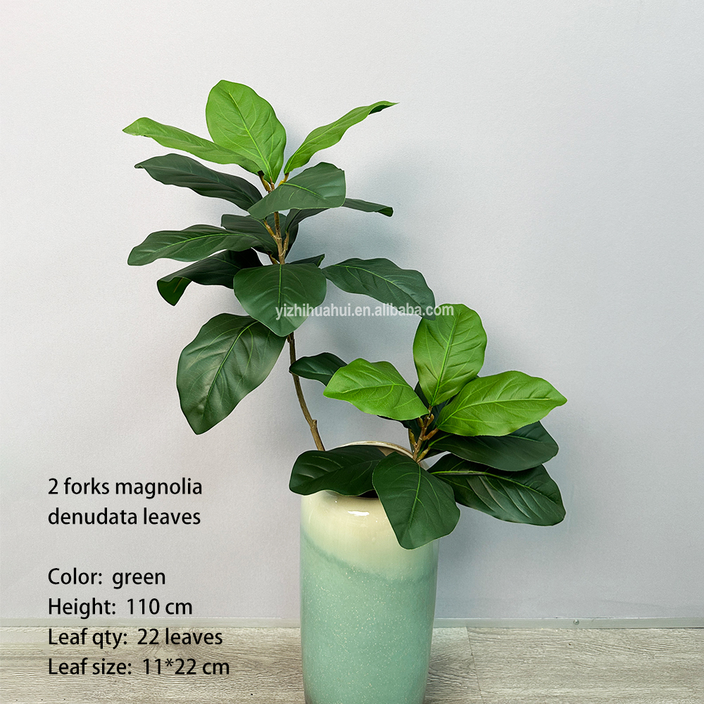 2 horquillas Magnolia denudata verde