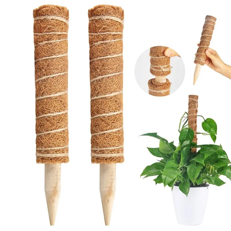 40cm Natural Coir Moss Pole Indoor Plant Grow Up Support Totem Coconut Stackable Moss Poles For Climbing Plants