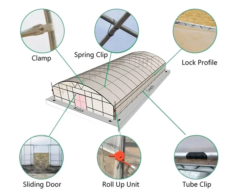 Chinese Economic Passive sunlight Greenhouse Tomato Farming Passive Solar Greenhouses for sale