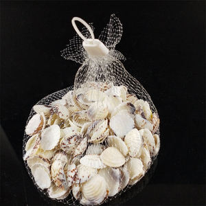 Doğal deniz kabukları ev dekorasyon için kuru ve temiz deniz kabuğu tarak kabuğu - Product Image 5