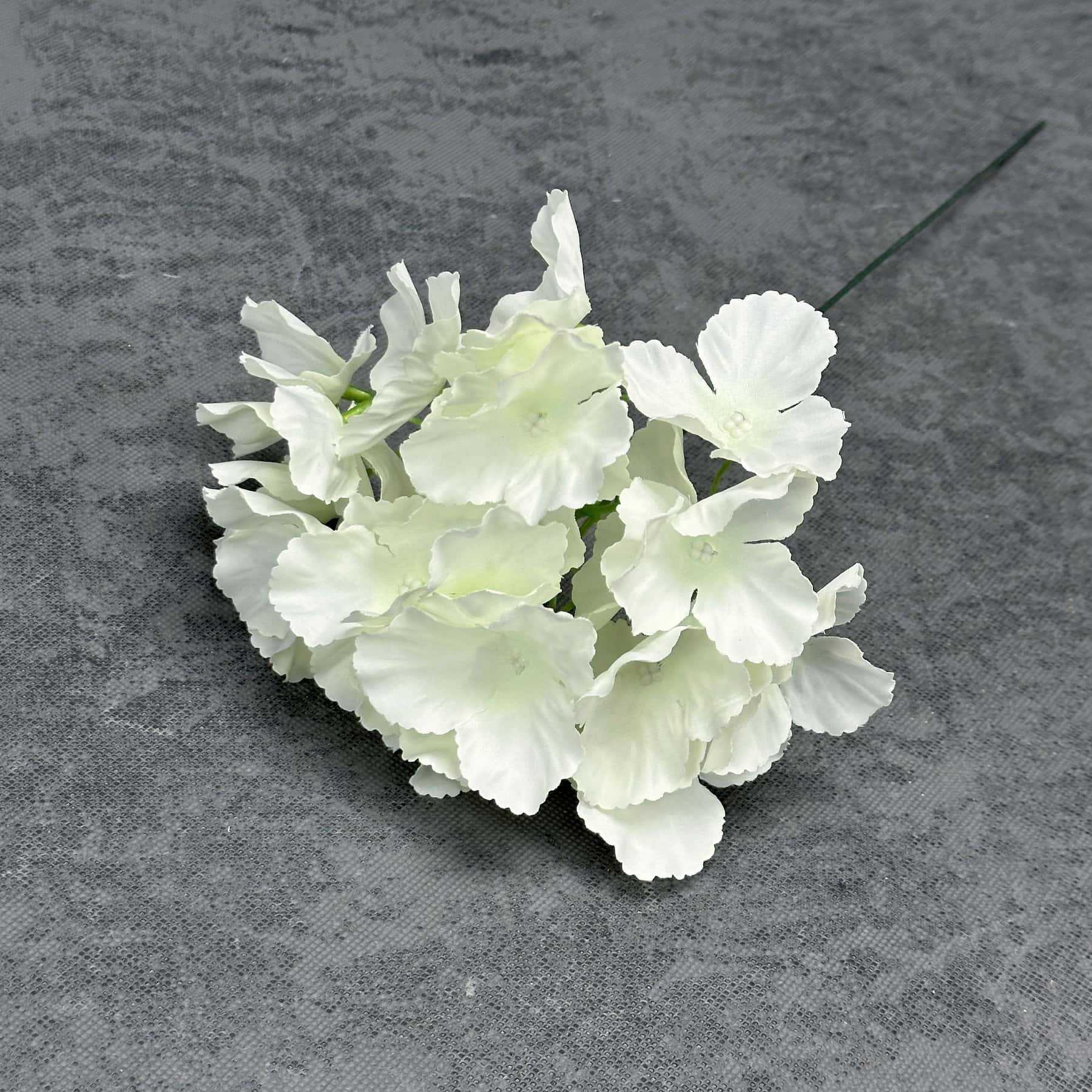 Nouveau - Blanc avec branches