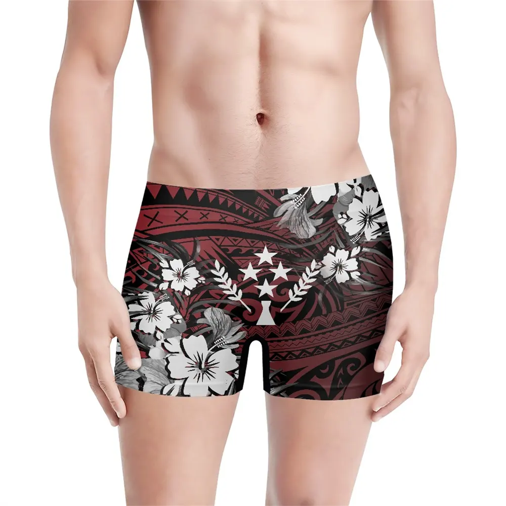 Caroline Islands Kosrae Flag Featured Design Men's Boxer Briefs Print On Demand Soft And Breathable Men's Underwear