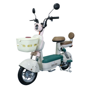 大人の通勤のための14インチ電動自転車2シート電動自転車電動自転車工場供給