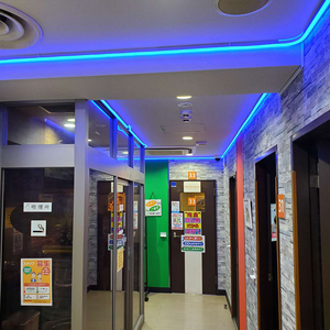 Material de Férias Personalizado <span class=keywords><strong>LED</strong></span> Neon Flex <span class=keywords><strong>WS2811</strong></span> <span class=keywords><strong>Pixel</strong></span> Inteligente RGB 24V IP68 Impermeável Ideal para Bar & Club Iluminação - Product Image 2