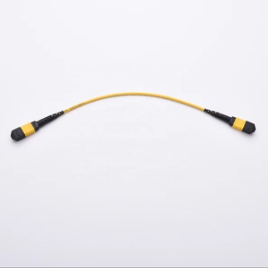 MTP MPO 8/12/24-Core Data Center Cable de conexión óptica OM3 OM4 Cable de fibra óptica para redes Qsfp 4G/5G FTTH Equipo óptico - Product Image 3