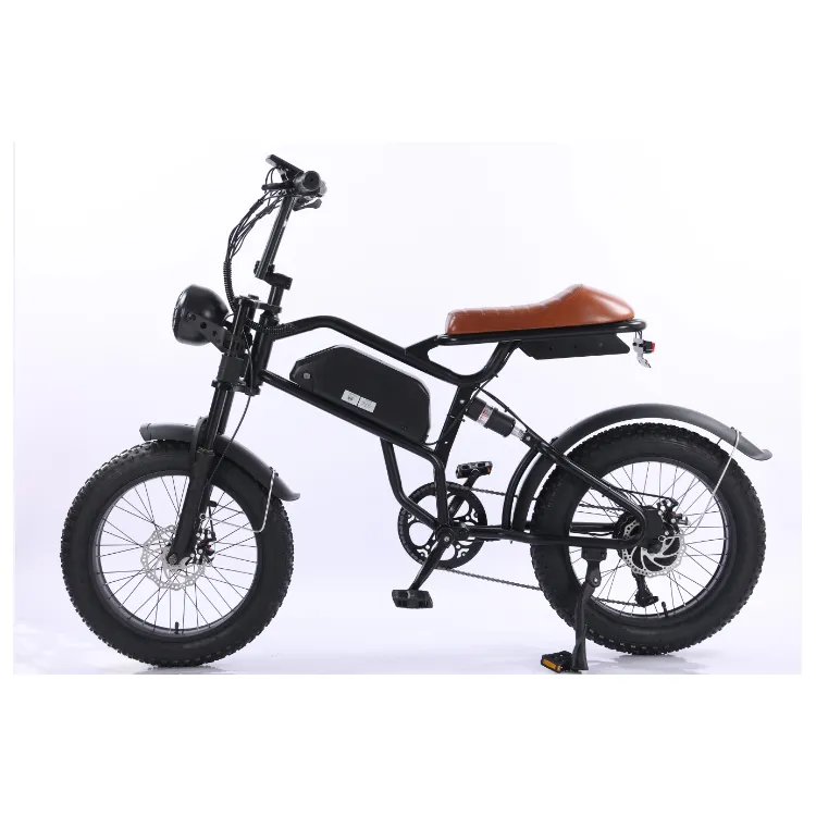 26 pollici bici elettrica Sidecar 48 v500w Nzita motore grasso pneumatico Mountain Ebike batteria Trike kit City Road bicicletta elettrica