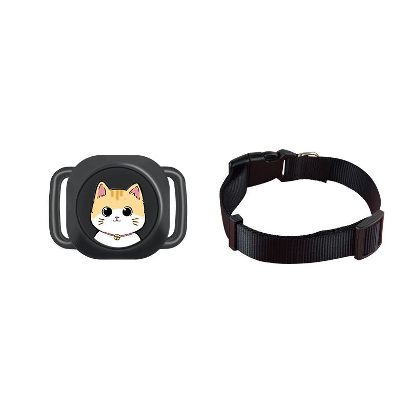 Nero (con adesivi decorativi) + collare per animali