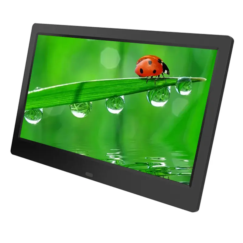 Cheap wholesale purchase electronic digital photo frame 10.1 inch auto loop playing function video playback