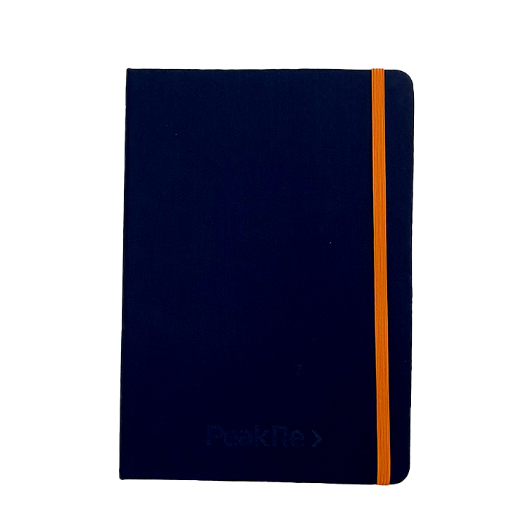 moleskines