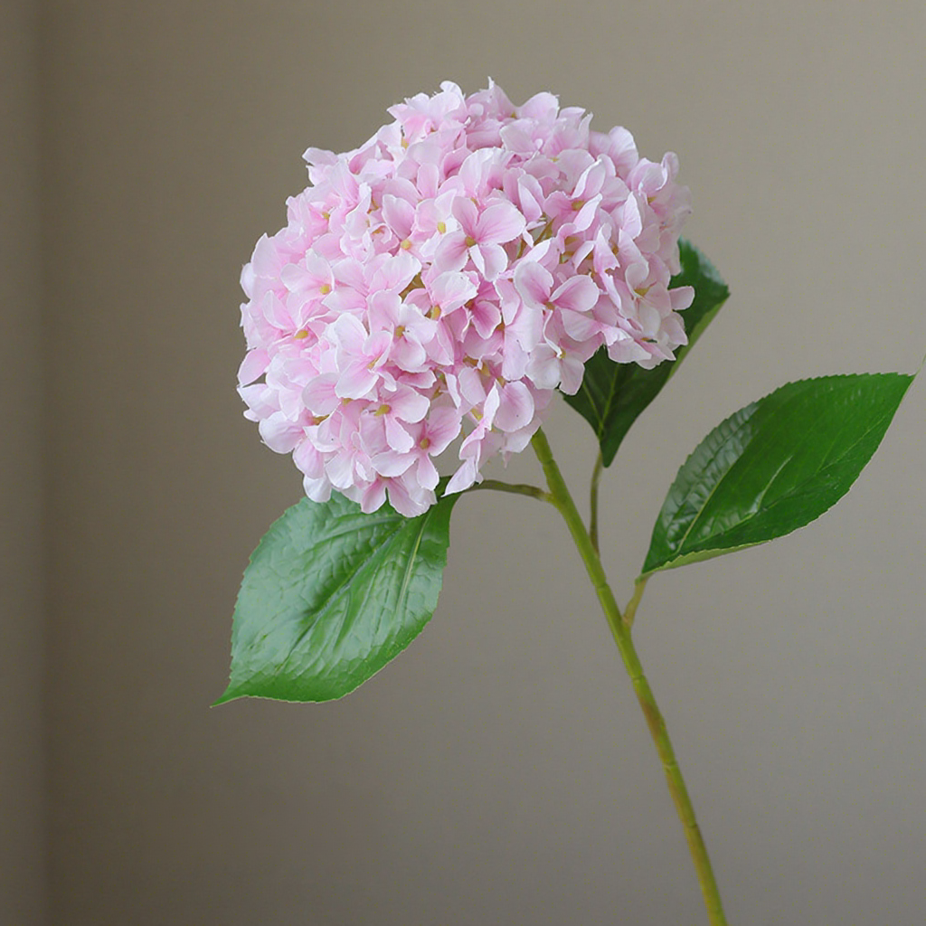 Champagne pink