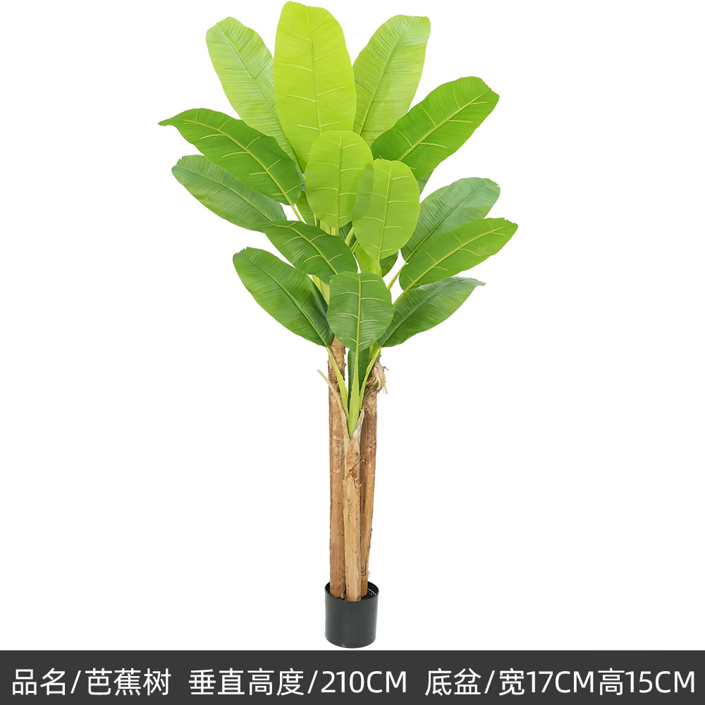 210cm/Three-section Banana Tree
