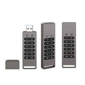 数字u盘加密密码防复制AES256加密数字系统USB3.0笔式驱动器32gb 64gb 128gb 256gb - Product Image 1