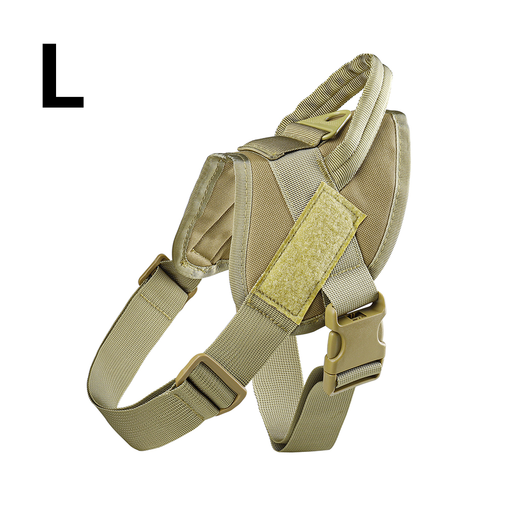 Bronze-L