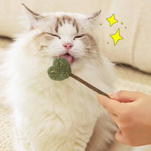 Divertidos juguetes para masticar de la naturaleza, Bola de hierba gatera, varilla de dientes limpios rodantes, piruleta de escorpión de madera, juguete para gatos, menta para gatos - Product Image 5