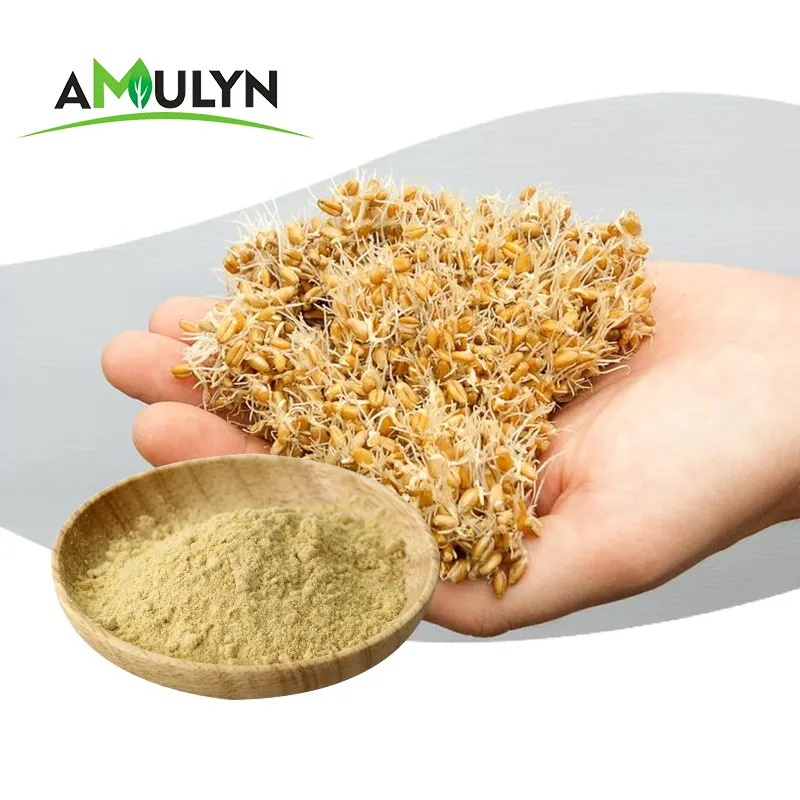 AMULYN spermidina estratto di germe di grano 0.2% spermidina in polvere