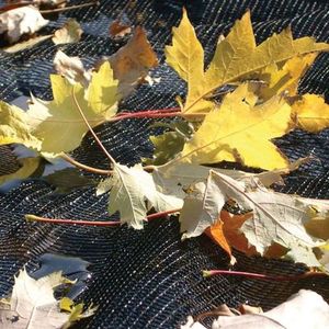 <strong>All</strong> Season Pool Leaf <strong>Cover</strong> Reusable Nylon Mesh Works As Skimmer <strong>Net</strong> &amp; Winter Protection - Product Image 5