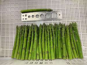 IQF Individual Quick Freezing Frozen Freeze <strong>Asparagus</strong> Whole Fresh <strong>Asparagus</strong>