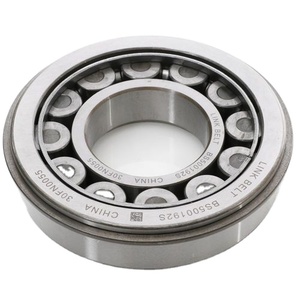 HS262 Full Complement Pump Printing Machine Radial <strong>Loads</strong> Cylindrical Roller Bearing - Product Image 2
