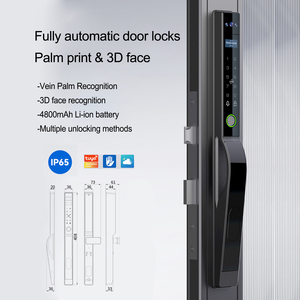 Tam otomatik Tuya TTlock ince akıllı kilit Palm damarlar biyometrik 3D yüz tanıma Silding kapı için parmak izi elektronik kilit - Product Image 1