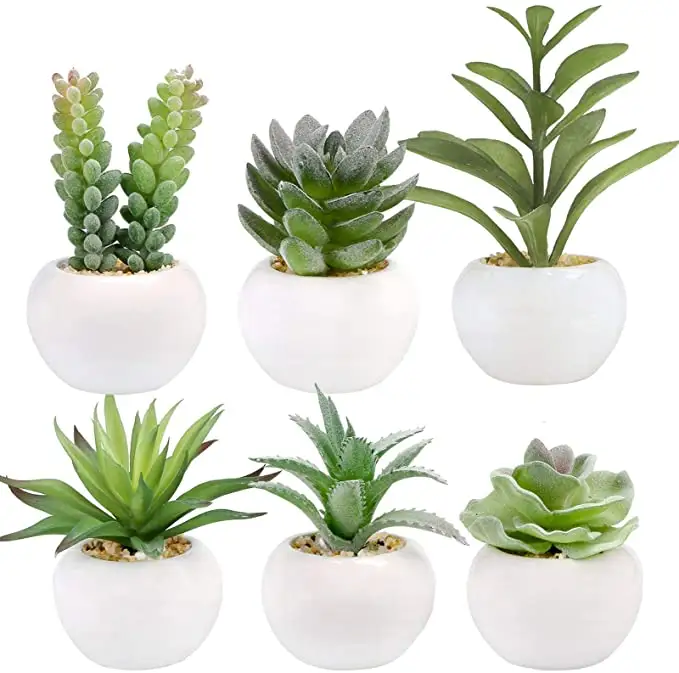 1 pieza, venta al por mayor, plantas suculentas artificiales de alta calidad en Mini macetas de cerámica blanca, pequeñas plantas suculentas falsas
