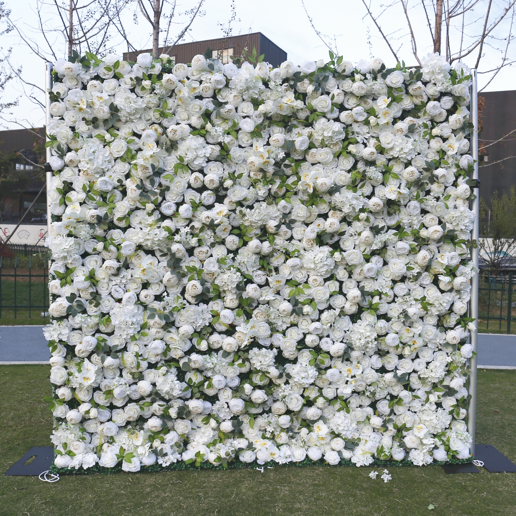 Bianco-D