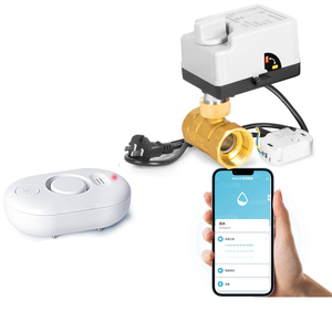 Válvula de bola eléctrica de detección de inundación WiFi inteligente DN40, válvula de cierre de alarma remota para teléfono móvil para sistema de tuberías - Product Image 1