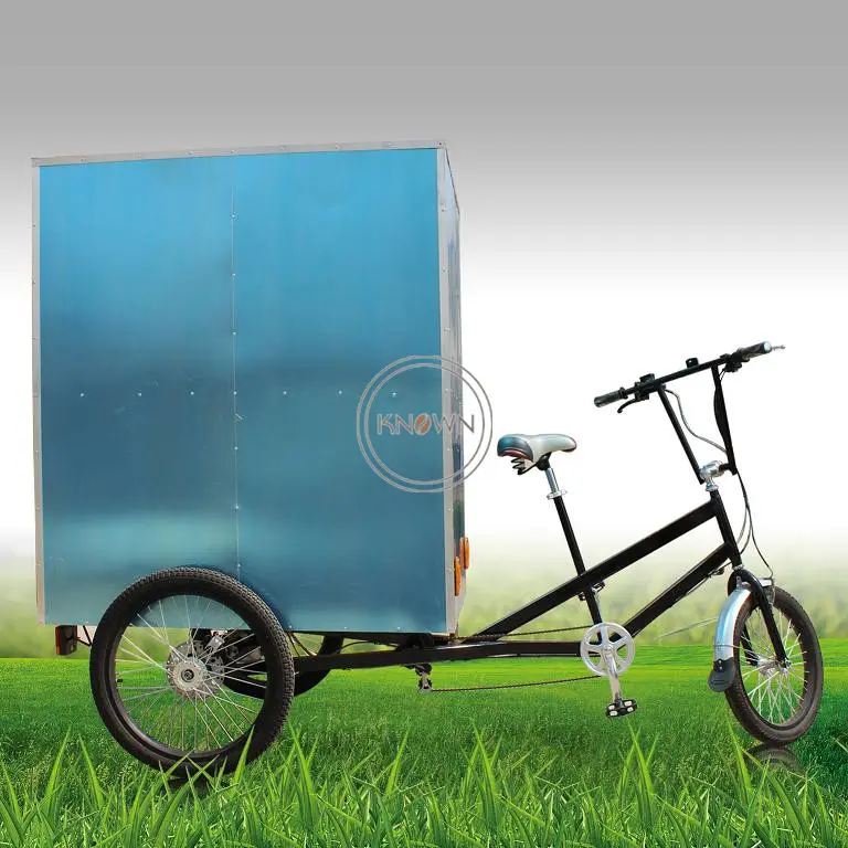 2024 tricicli elettrici tre ruote Cargo Bike Frameset utilizzato corriere espresso trasporto merci