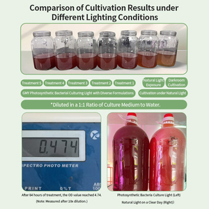 <span class=keywords><strong>Led</strong></span> Fotosynthese Bacteriën Cultuur Lamp Aquacultuur Moeras Rood Pseudomonas Cultuur Licht - Product Image 3