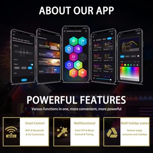 Yıl boyunca noel süslemeleri için RGBW yayan renk Wifi Spi denetleyicisi ile Twinklight IP68 su geçirmez açık hava LED ışıkları - Product Image 3