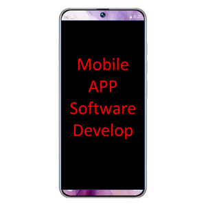 Software personalizzato sviluppare il servizio - Product Image 1