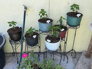 Plastic Round Flower <strong>Pot</strong> Set of 6 Outdoor Resin Flower <strong>Pots</strong> Colorful Home Christmas Decorative Planter for Balconi - Product Image 6