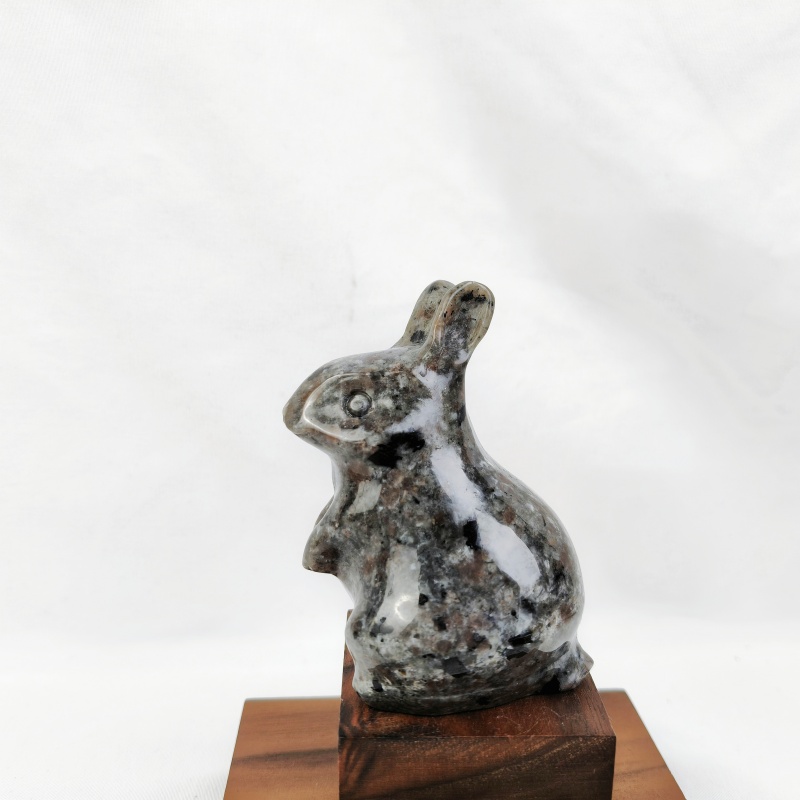 lapin