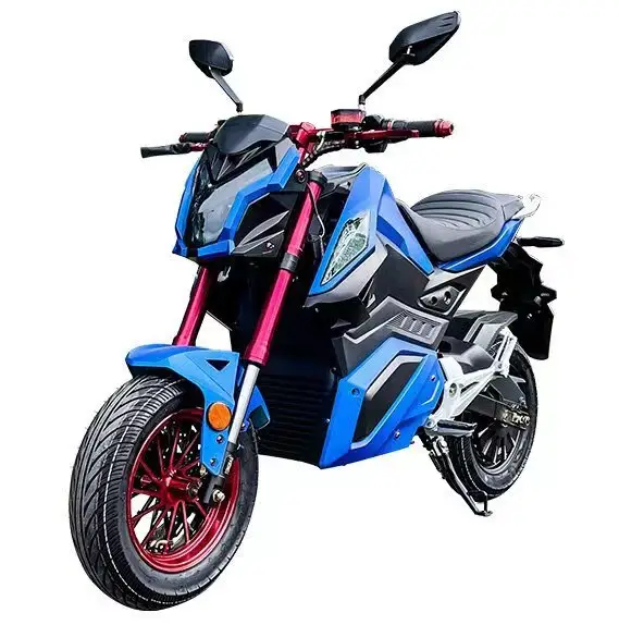 12Inch Ebike Z6 Phía Trước Phanh Đĩa Phía Sau 2000W Động Cơ Qs Hub Động Cơ 3000W Tốc Độ Cao Xe Máy Điện Với COC