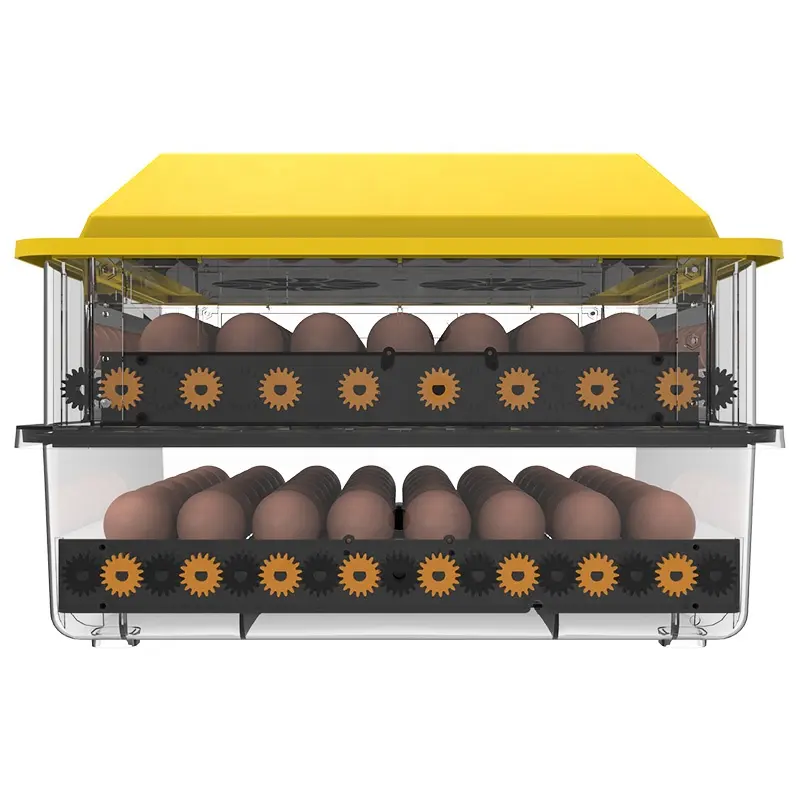 Mini incubadora de huevos con control automático de temperatura y humedad de 104 huevos