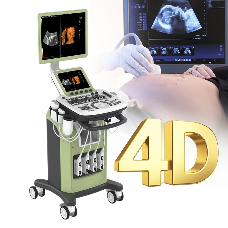 Ecografo-máquina de ultrasonido médica portátil, doppler de color para humanos, ecocardiografía 3d 4d, listo para enviar