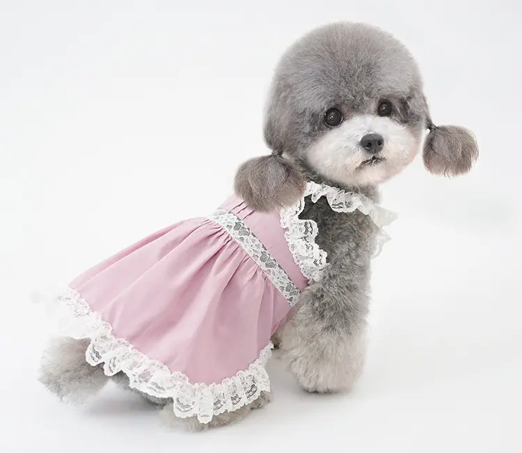 Pet dễ thương mùa xuân trang phục ren Dog vải sang trọng Lolita ăn mặc Pet Dog Cat mùa hè trang phục chủ sở hữu Puppy Pet Pet quần áo