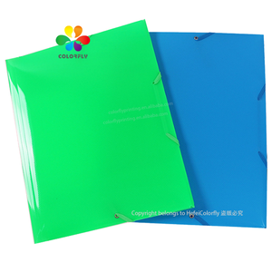 高品质塑料文件盒彩色文件收纳盒定制尺寸盒式办公室文件带 - Product Image 5