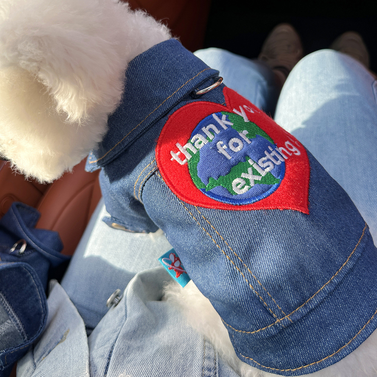 Veste denim Thank you earth