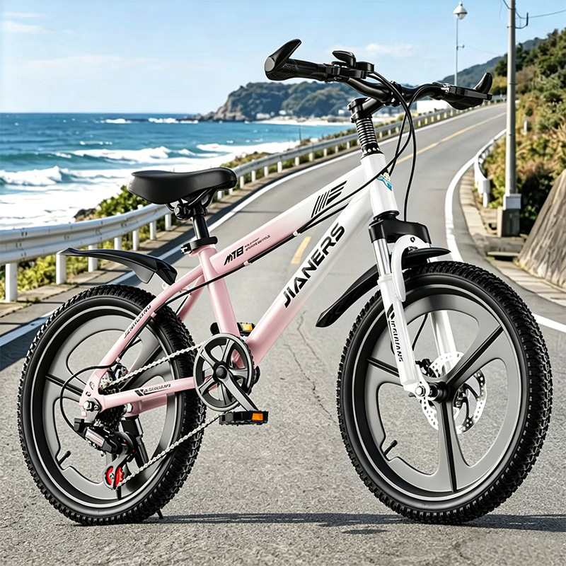 Gradient pink, variable-speed wheel, disc brakes, shock absorpti