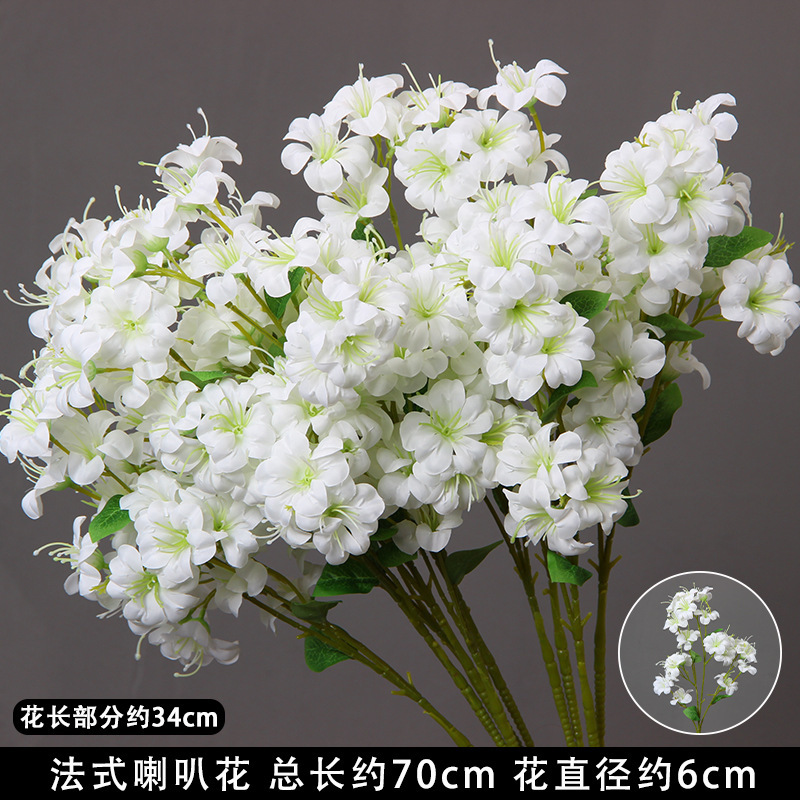 Tige de fleur de trompette française blanche