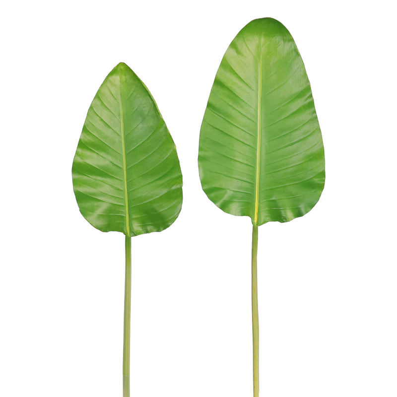 78.5ซม.-ใบ PU Strelitzia reginae