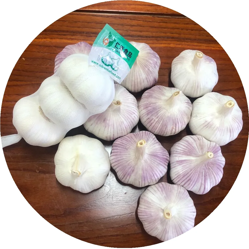 Normal White Garlic/Red Garlic/Purple Garlic