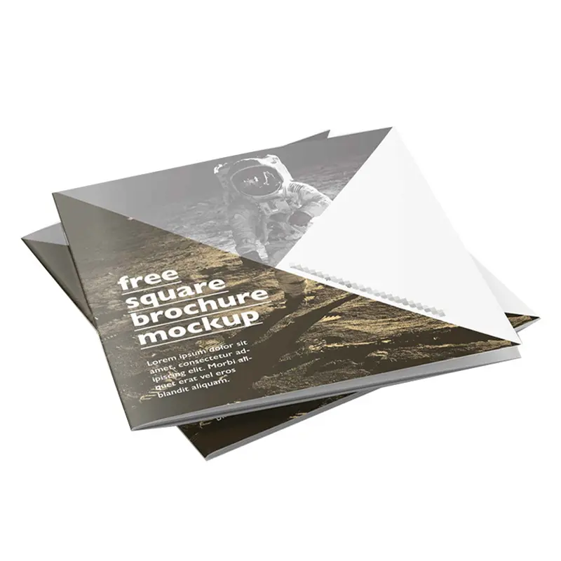 Professionele Fabriek Groothandel Goedkope Custom Design Full Color Papier Boekje Brochures Catalogus Tijdschrift Afdrukken