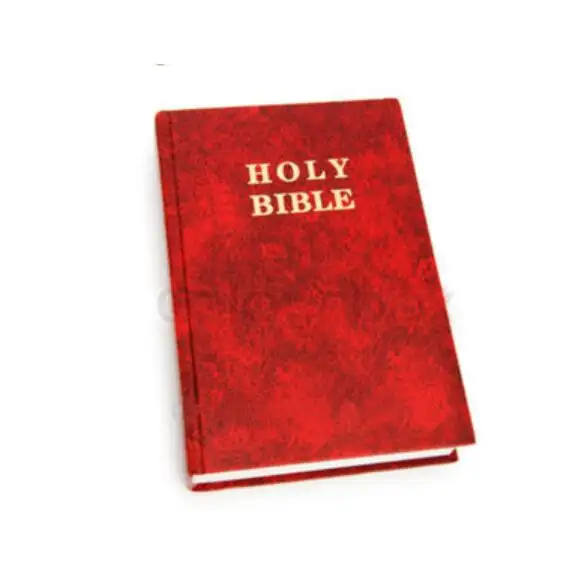Mini bolsillo de la Biblia de cuero Pu para niños, Rey James, venta al por mayor
